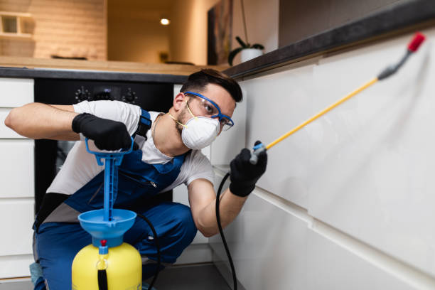 Best Pest Control Near Me in Butler, NJ