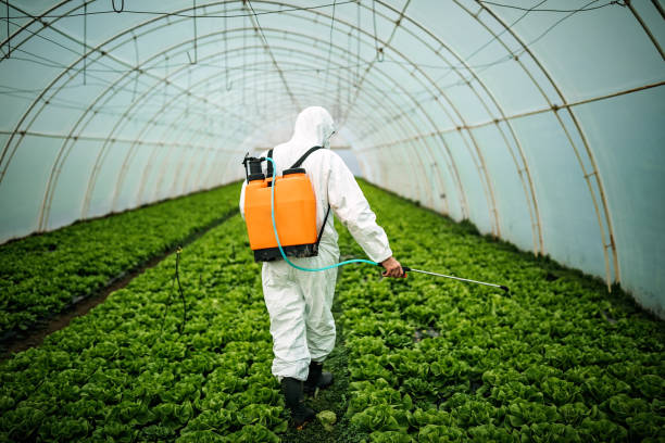 Professional Pest Control in Butler, NJ