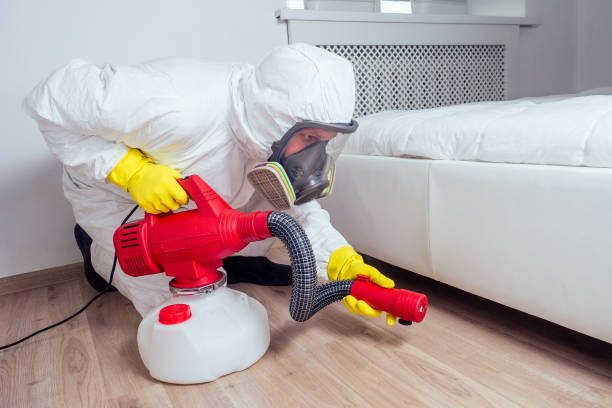 Best Insect Control  in Butler, NJ
