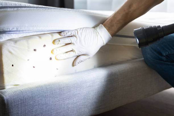 Best Commercial Pest Control Services  in Butler, NJ