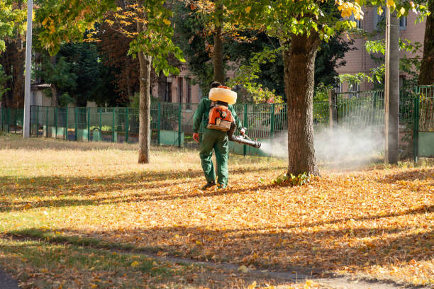 Best Spider Control Near Me  in Butler, NJ