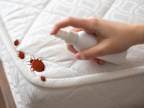 Best Affordable Pest Control Services  in Butler, NJ