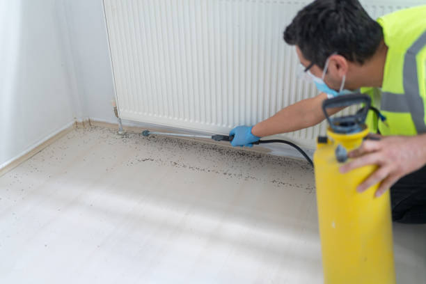 Best Bed Bug Extermination  in Butler, NJ